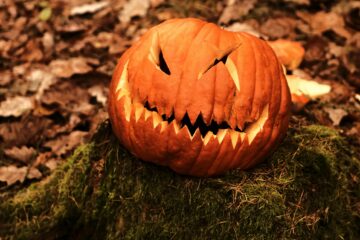 Jak vytvořit dokonalou halloweenskou dýni? Máme návod krok po kroku