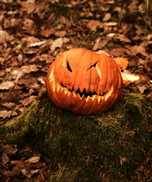 Jak vytvořit dokonalou halloweenskou dýni? Máme návod krok po kroku
