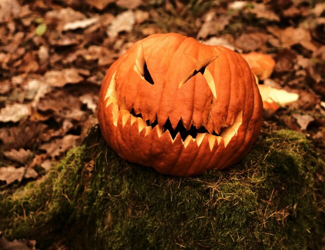 Jak vytvořit dokonalou halloweenskou dýni? Máme návod krok po kroku