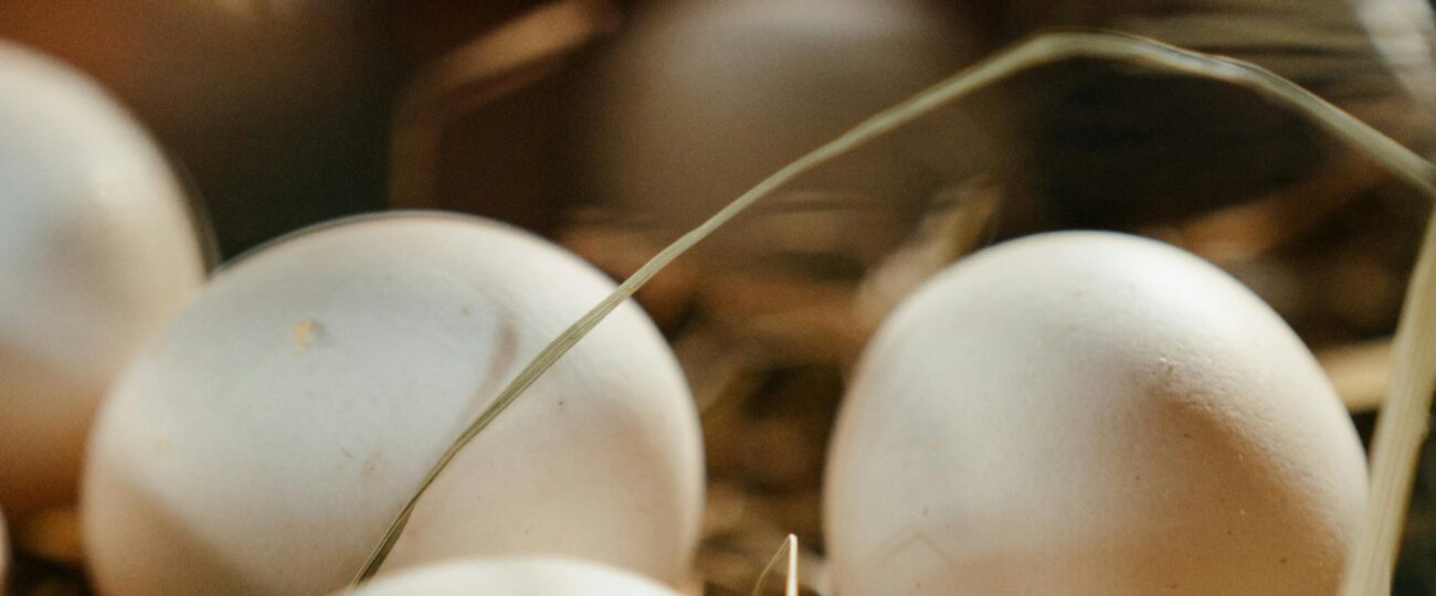 Jak skladovat vejce doma: užitečné tipy pro čerstvost, bezpečnost a méně odpadu